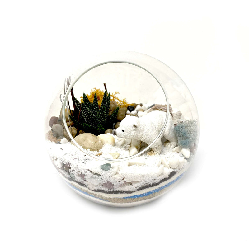 Terrariums by Globe and Snail: Global Warming - alter8.com